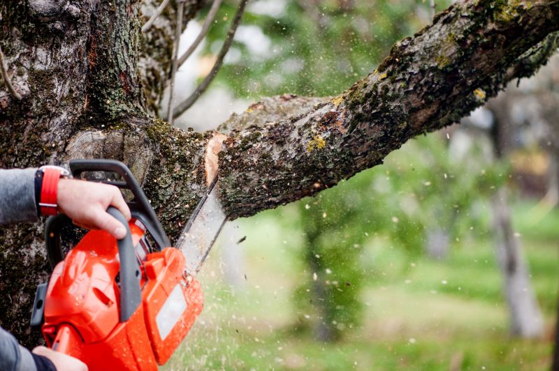 Tree Limb Cutting