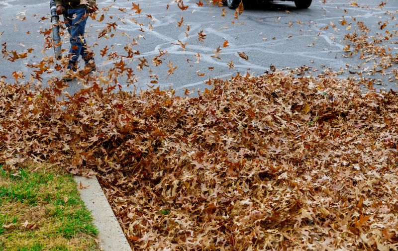 Leaf Cleanup at Property Edges