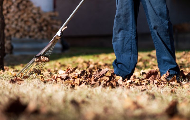 Leaf Raking in Action