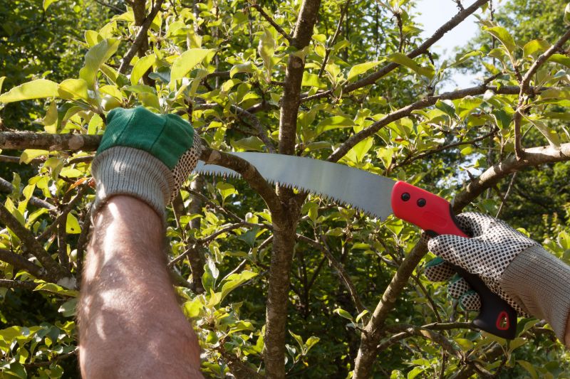 Tree Limb Cutting