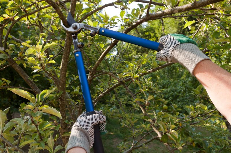 Seasonal Pruning