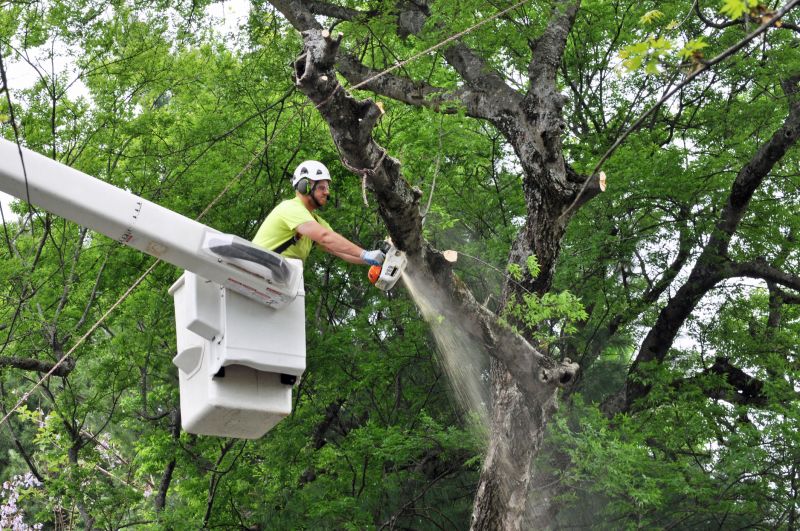 Enhance Tree Shape